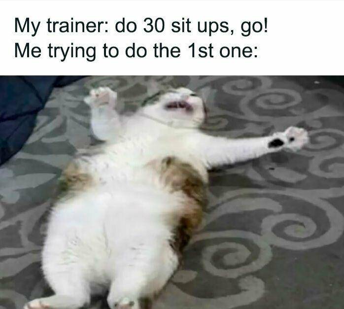 meme perjuangan diet (instagram.com/funnyweightloss)