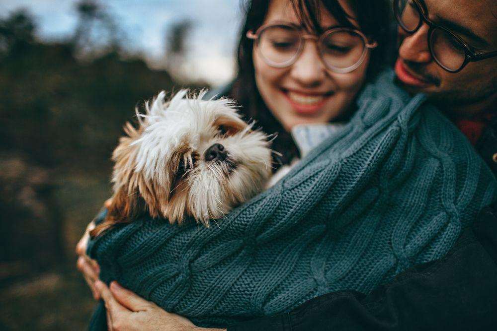 Dear Pet Owner, Terapkan 5 Prinsip Kesejahteraan Hewan Ini Yuk!