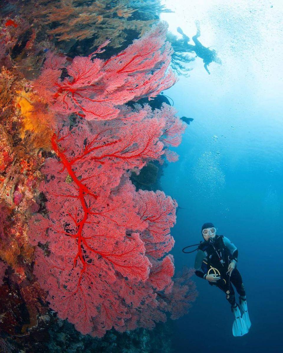 Danau Kakaban (instagram.com/aan_zainuri)