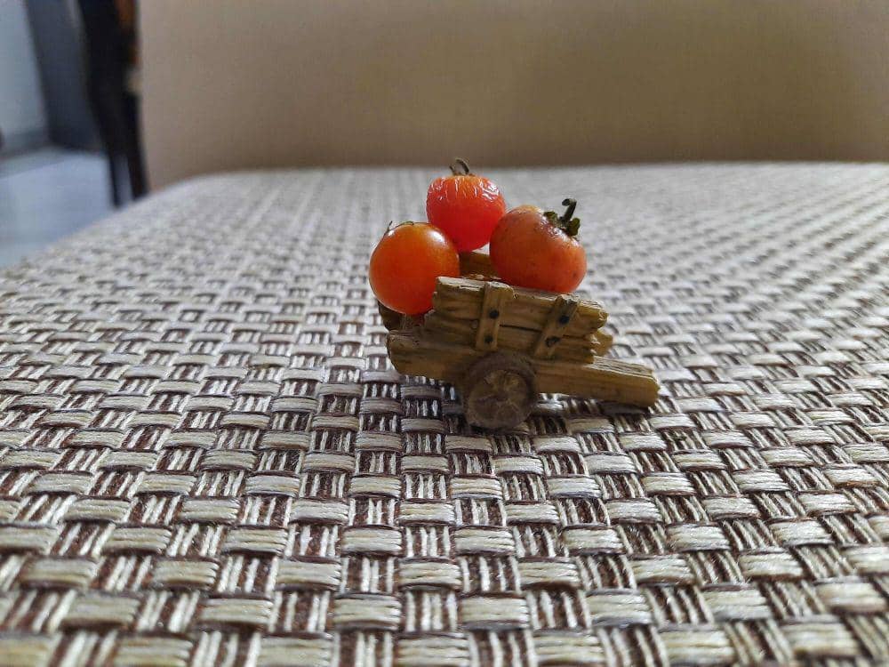 potret kocak gagal menanam buah dan sayur (reddit.com/user/Isha2401)