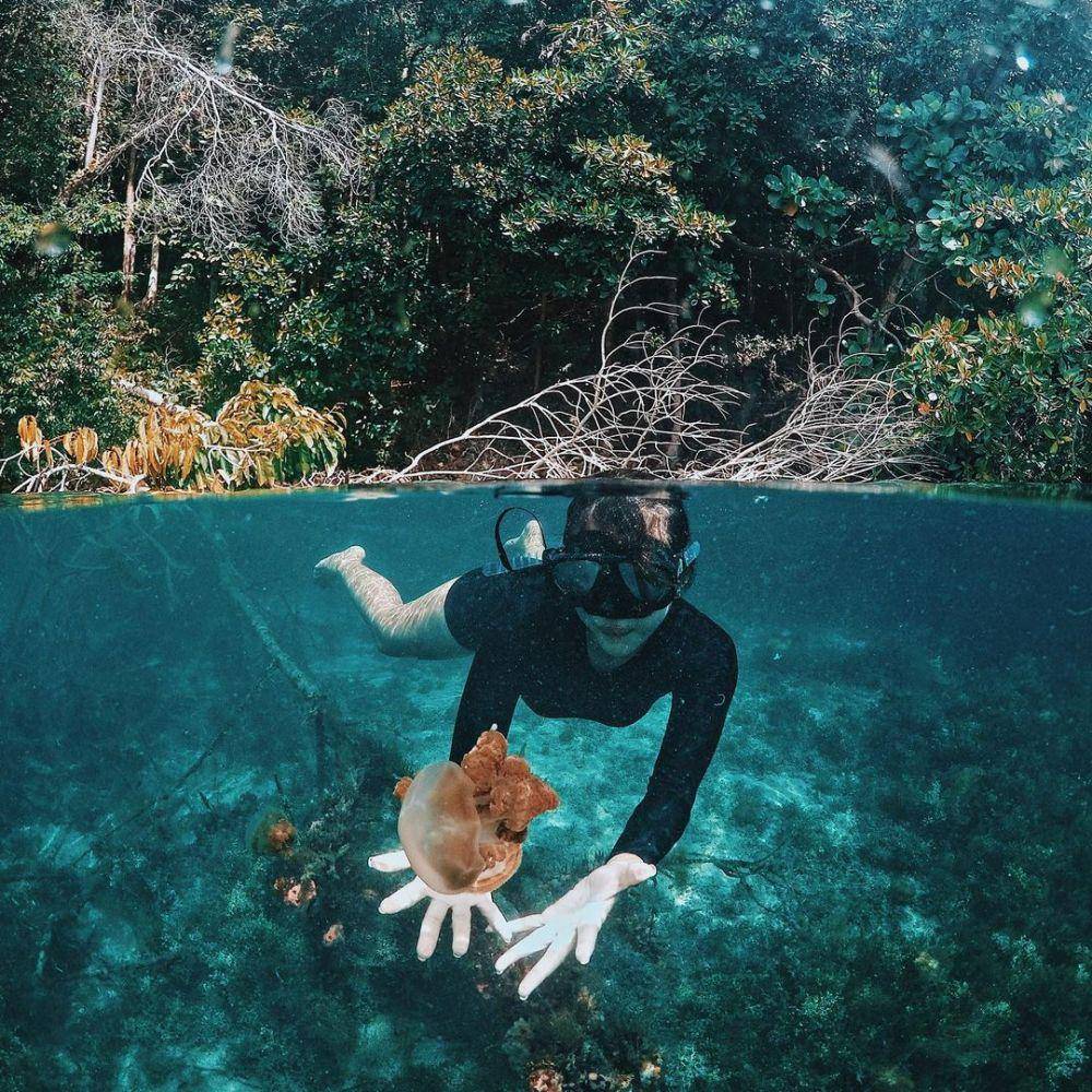 Danau Kakaban (instagram.com/reginamarella)