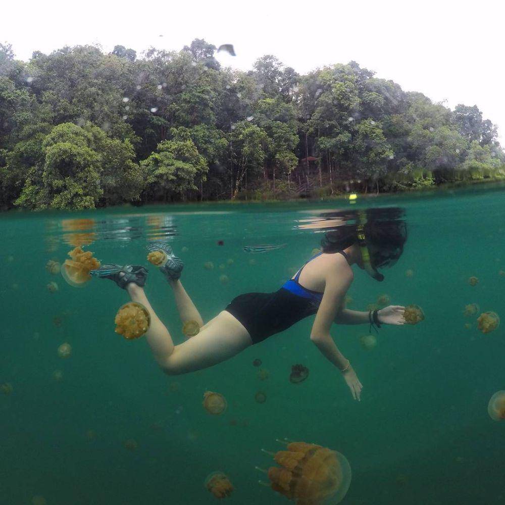 Danau Kakaban (instagram.com/kakabantrip)