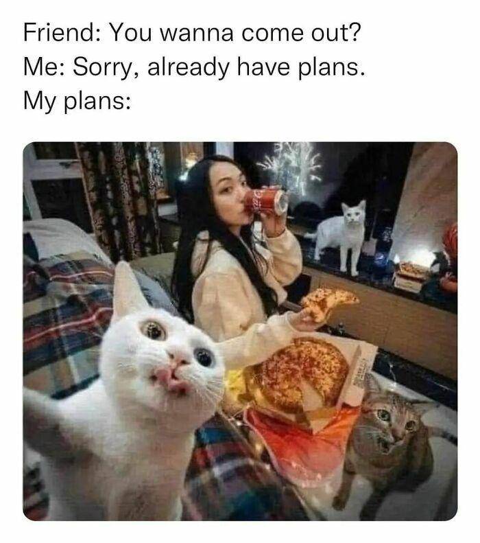 meme lucu kehidupan introver (instagram.com/antisocialmeme)