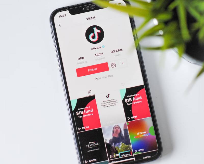 ilustrasi TikTok (unsplash.com/Nik)