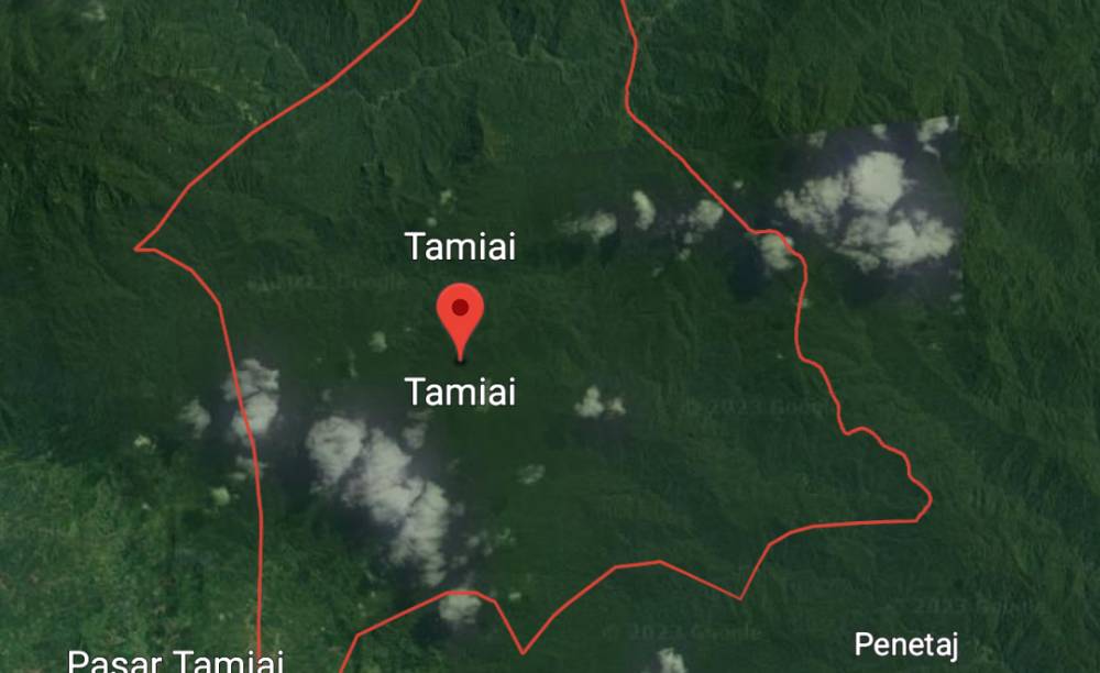 Desa Tamiai, Kecamatan Batang Merangin, Kabupaten Kerinci terlihat dari peta Google Eart. (Foto/Screensoot)