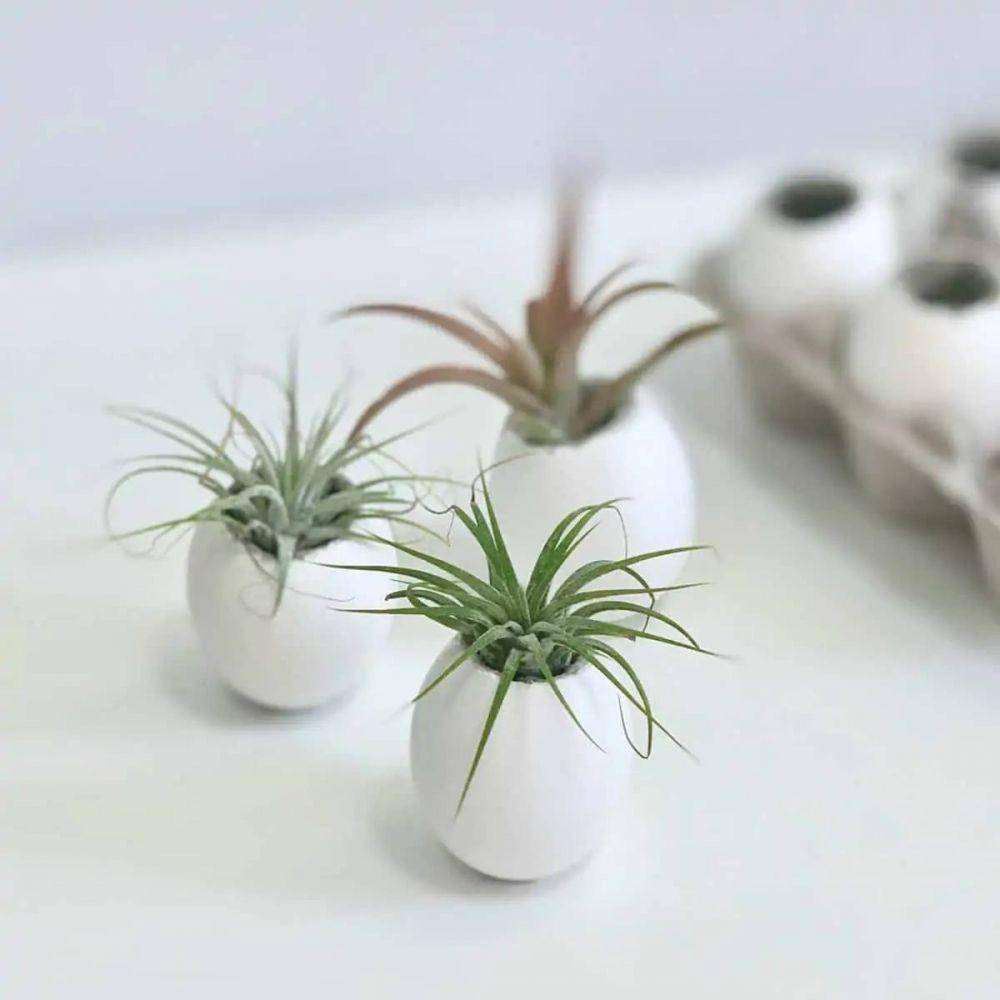 ilustrasi dekorasi dapur dan meja makan dari barang bekas (dok. Artsy Pretty Plants)