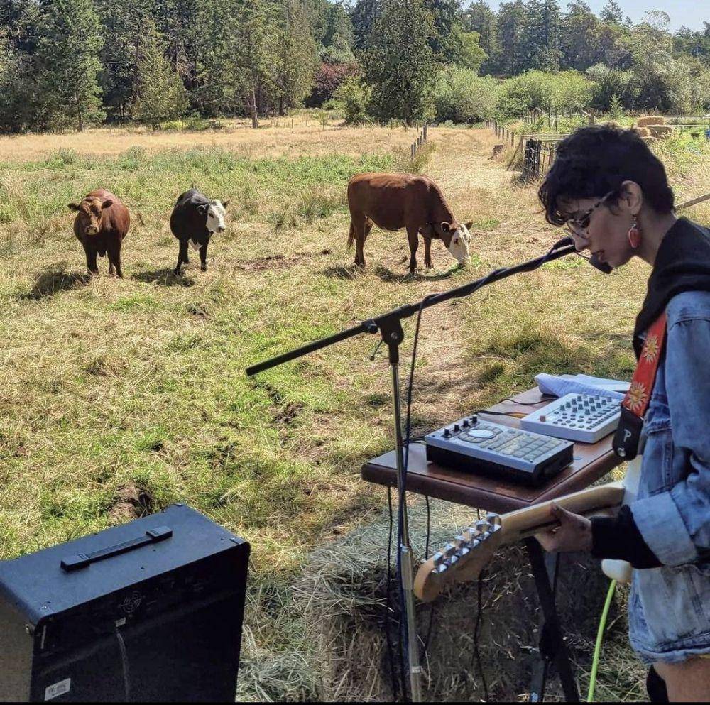potret lucu hewan dan alat musik (twitter.com/atomicnumber88)