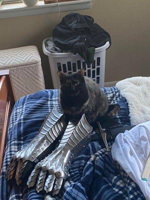 ilustrasi lucu aura mencekam dari kucing hitam (twitter.com/weirdlilguys)