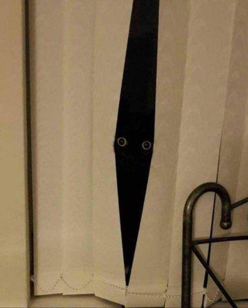 ilustrasi lucu aura mencekam dari kucing hitam (twitter.com/weirdlilguys)