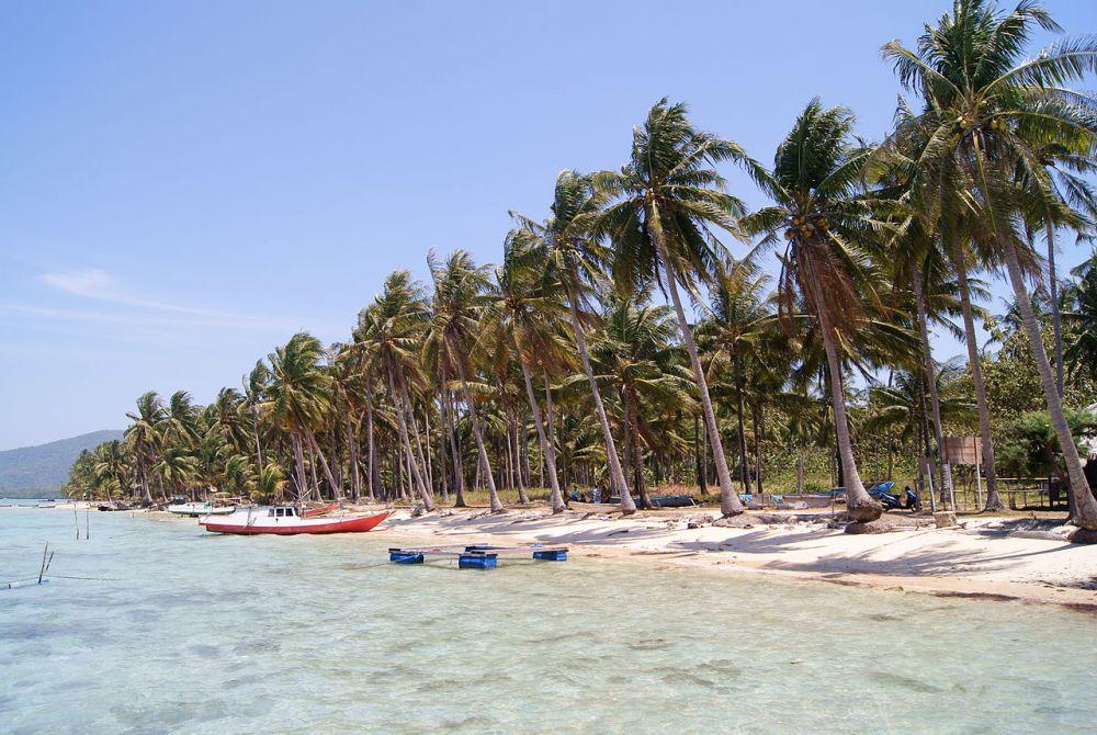 Tiket Kapal Karimunjawa: Harga, Jadwal, dan Cara Belinya