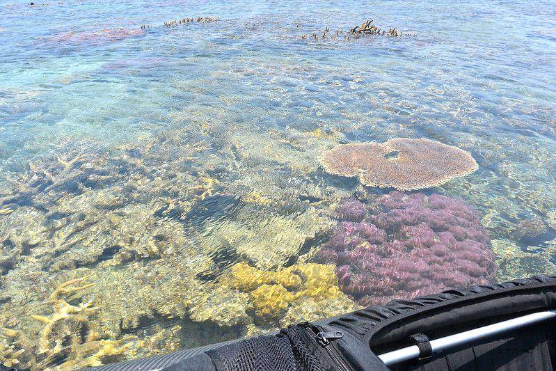 Karimunjawa (Flickr.com/Tiak)