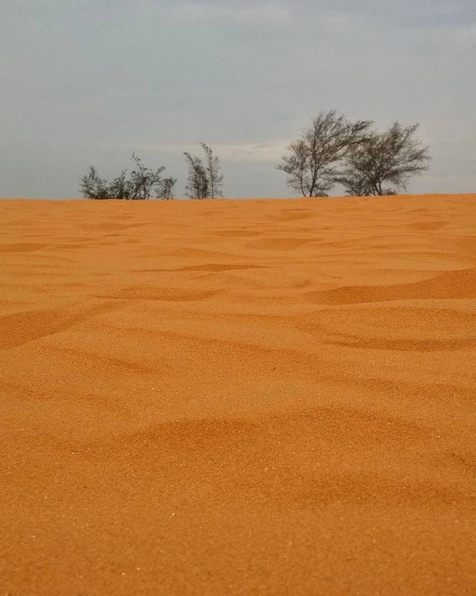 potret The Sand Dunes (instagram.com/_jessison)