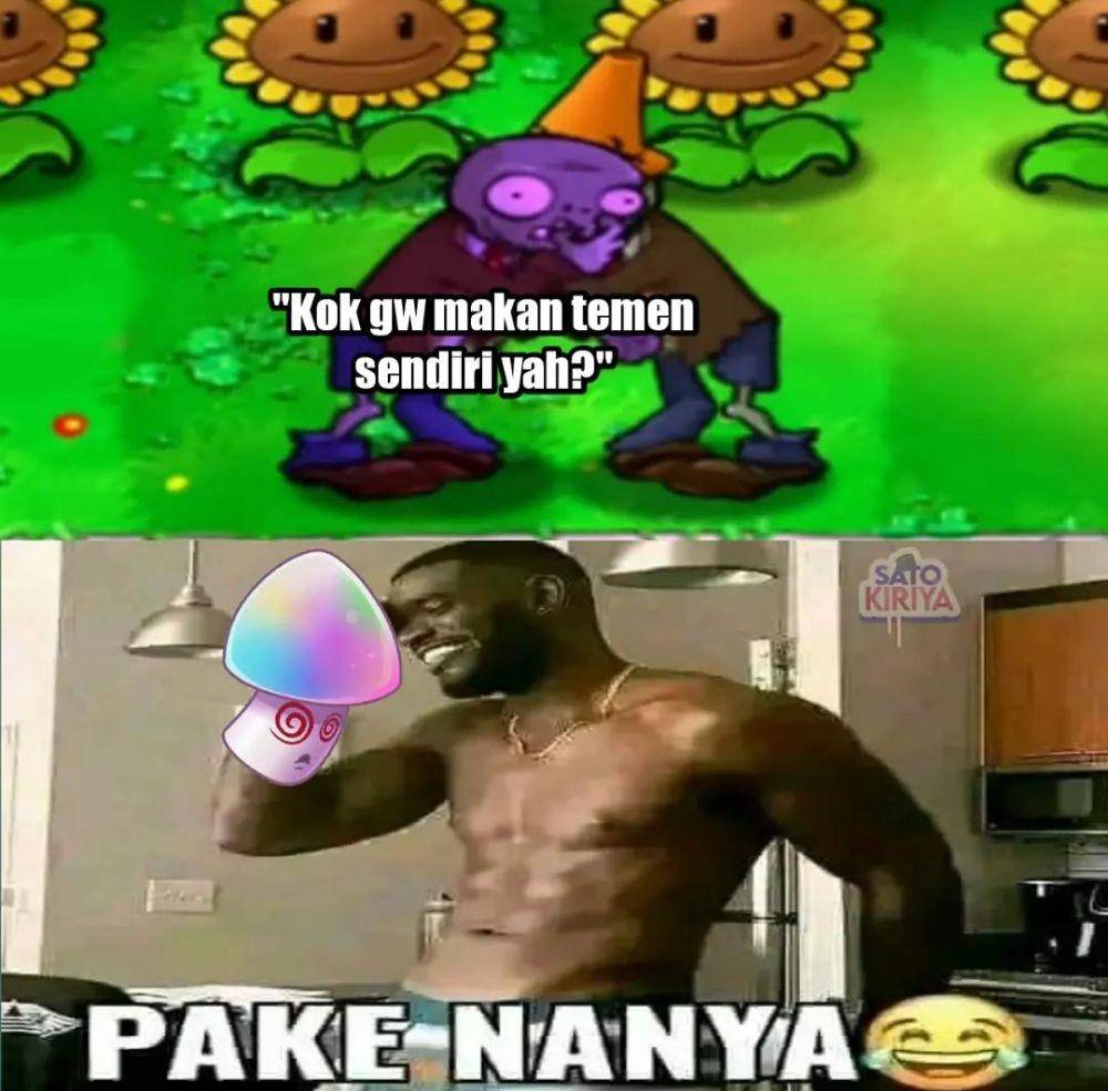 meme pake nanya (instagram.com/kiriya_sato)