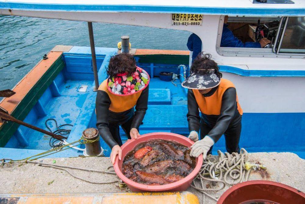 Wanita Haenyeo saat melakukan melaut di Jeju Island  (instagram.com/visitjeju.en)