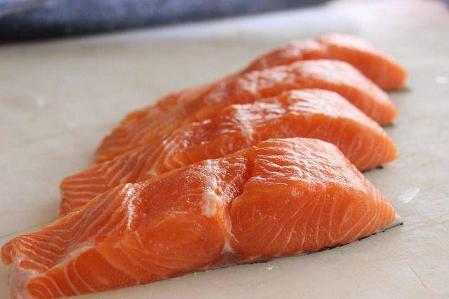 ilustrasi salmon (pixabay.com/pauofficial)
