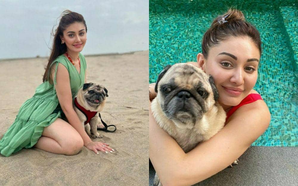 9 Potret Artis India Shefali Jariwala dan Anjing Peliharaannya