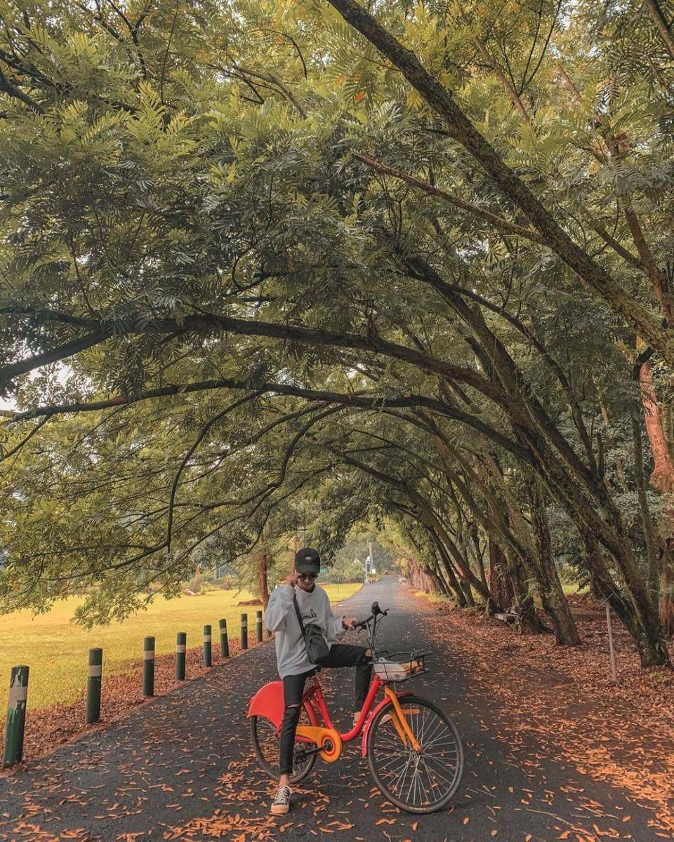 Kebun Raya Purwodadi (instagram.com/idhomarcello_)