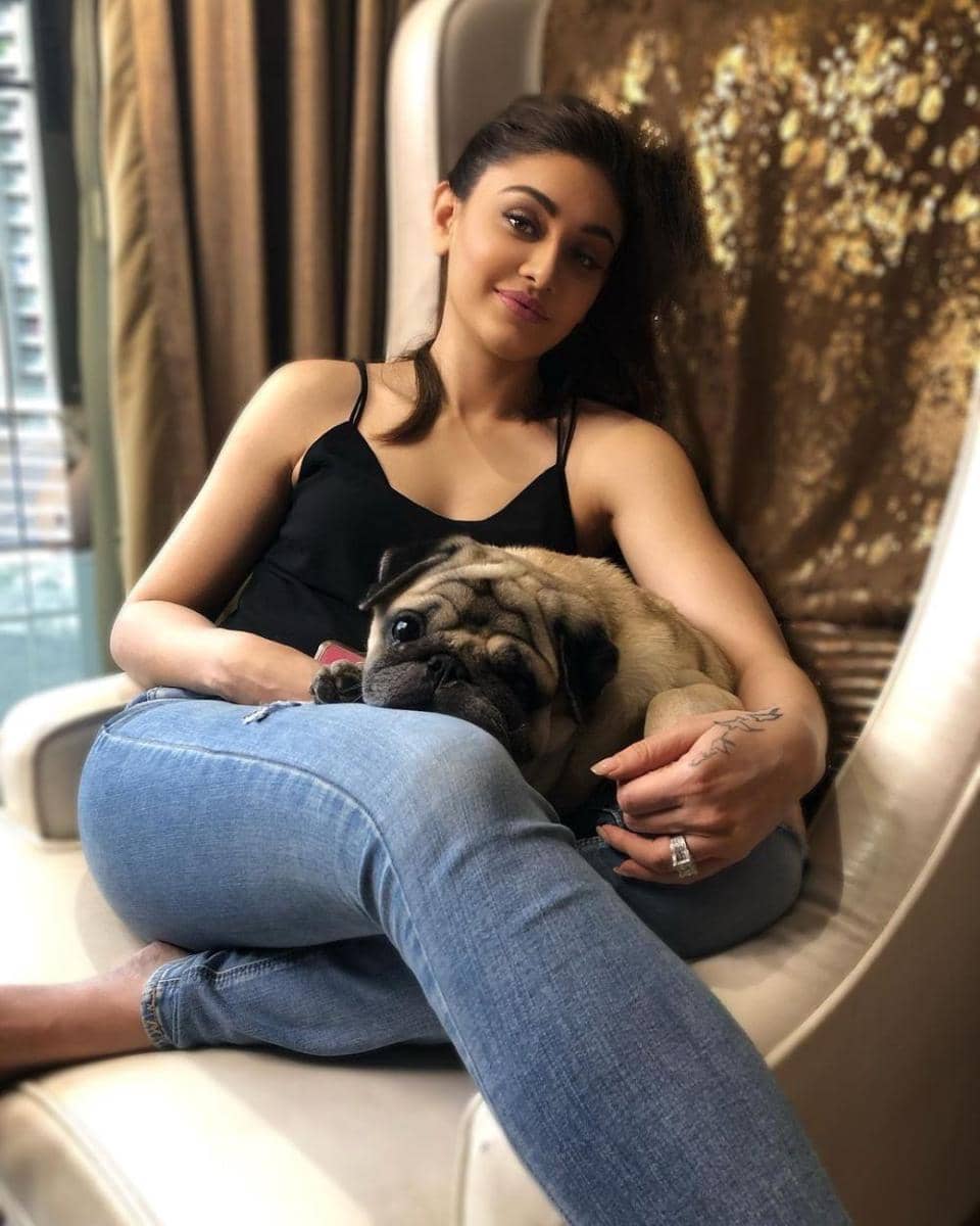 Shefali Jariwala dan anjingnya (instagram.com/shefalijariwala)