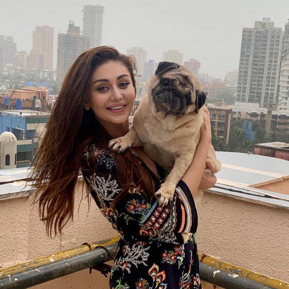 Shefali Jariwala dan anjingnya (instagram.com/shefalijariwala)