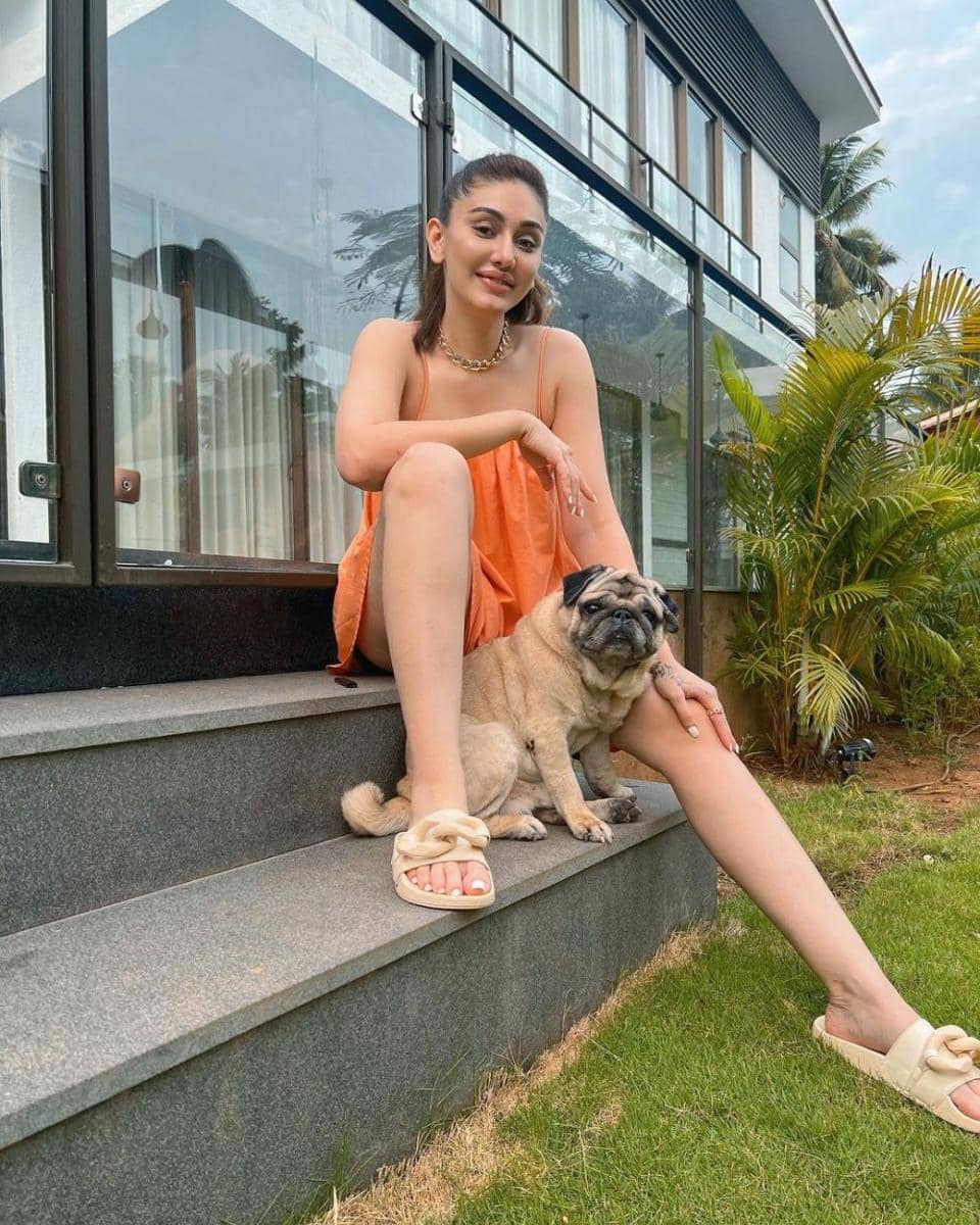 Shefali Jariwala dan anjingnya (instagram.com/shefalijariwala)