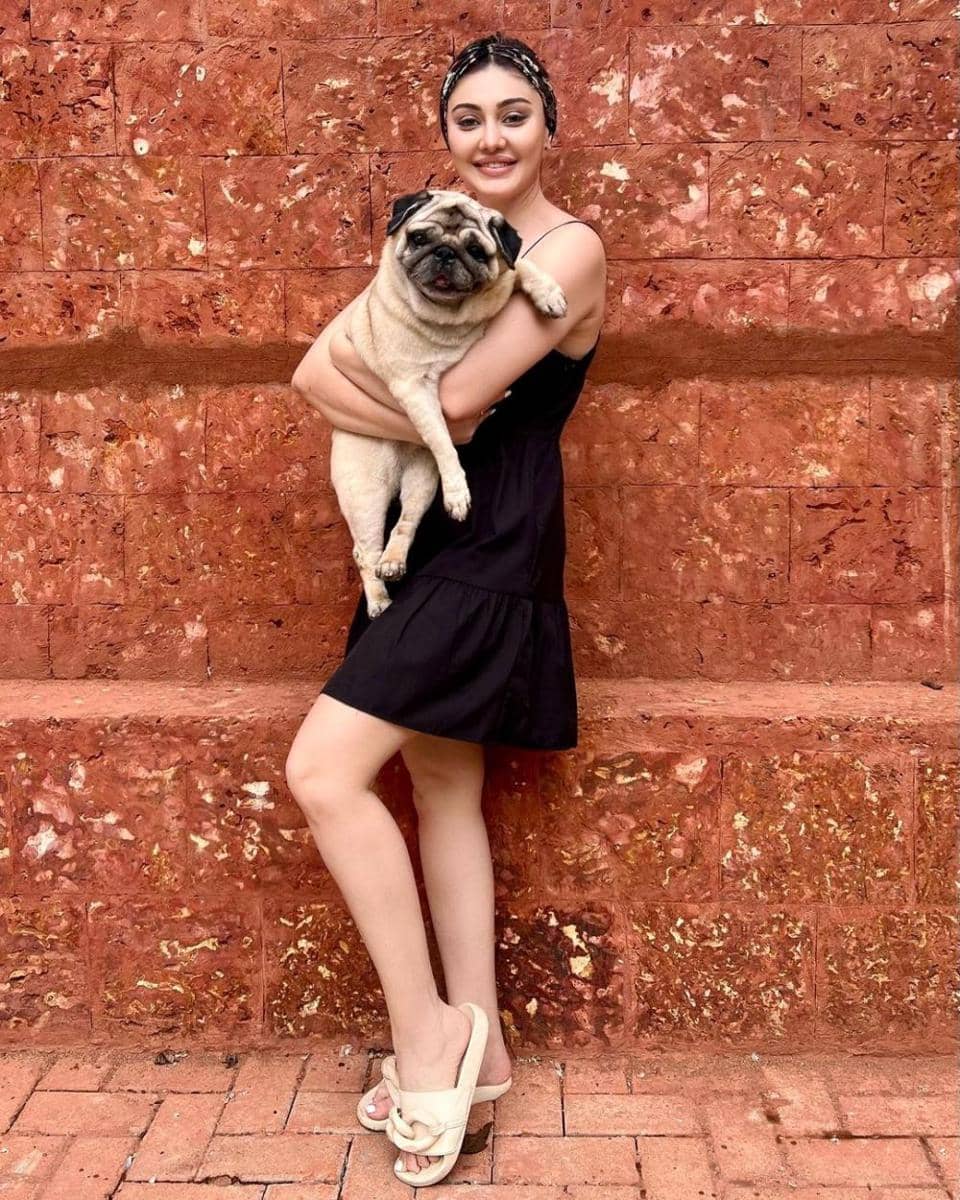 Shefali Jariwala dan anjingnya (instagram.com/shefalijariwala)