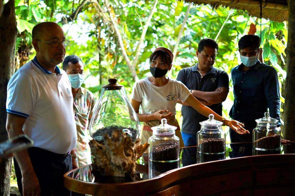 ilustrasi wisata edukasi kopi di Bali Pulina (instagram.com/balipulina)