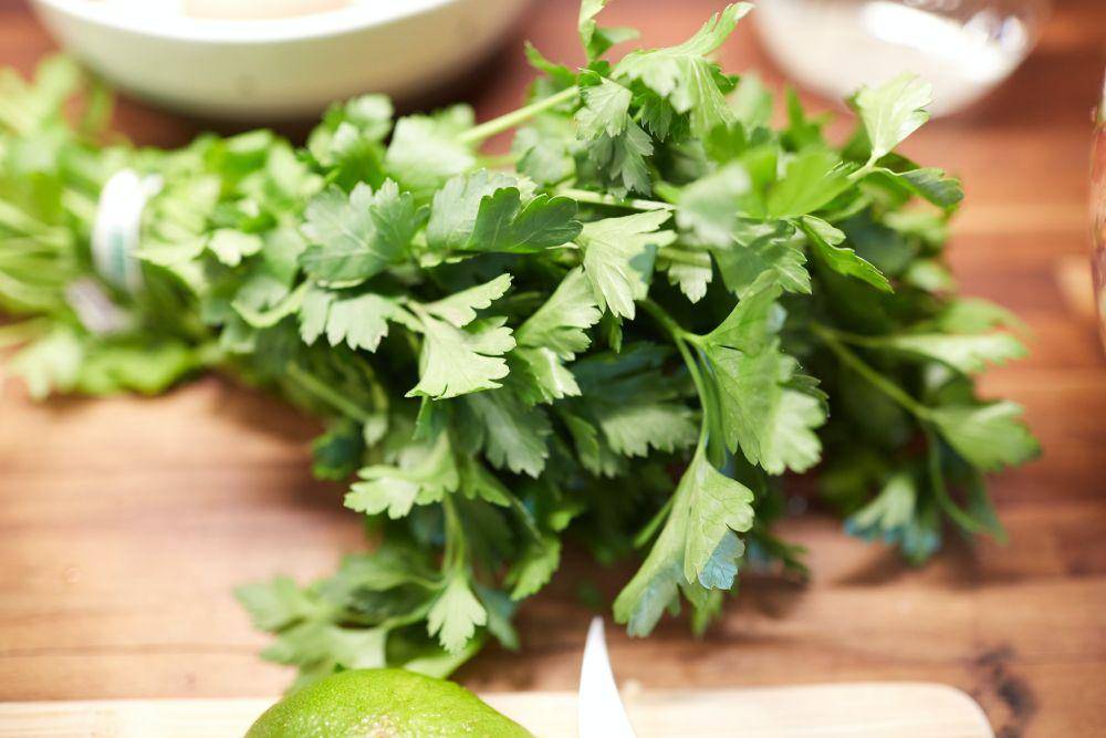 ilustrasi daun parsley (unsplash.com/@davidtoddmccarty)