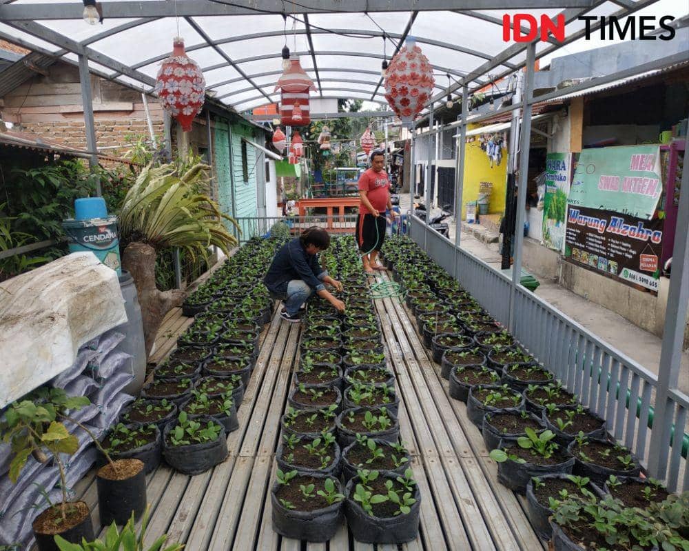 Fasilitas urban farming yang dibangun di atas anak sungai di Kota Bandung.