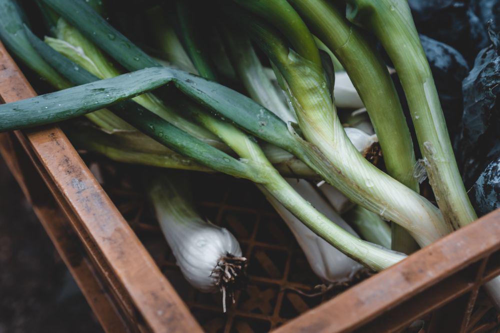 5 Manfaat Sehat dari Daun Bawang, Baik untuk Tubuh!