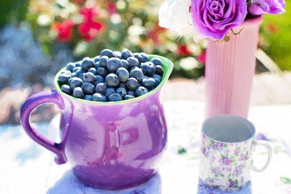 ilustrasi buah blueberry (pixabay.com/Jill Welington)