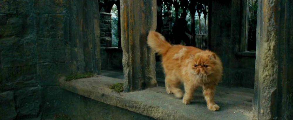 dok. Warner Bros/Harry Potter