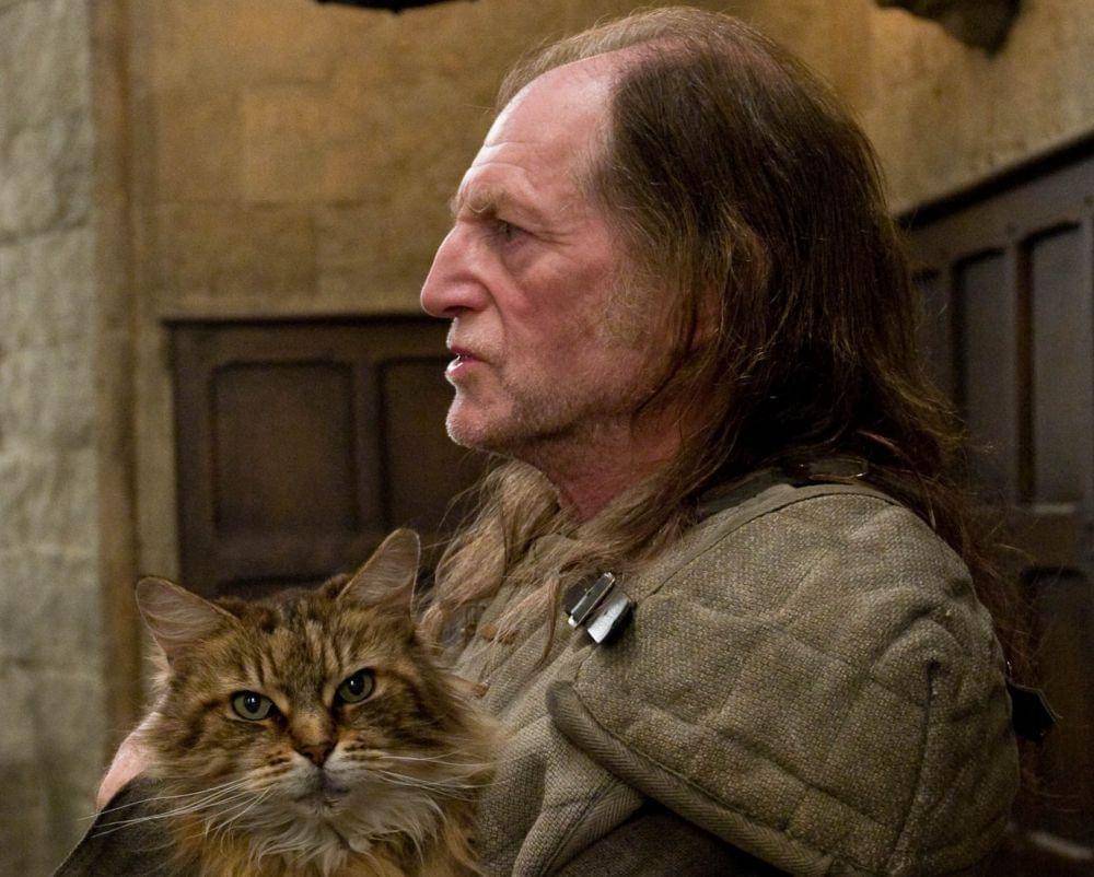 dok. Warner Bros/Harry Potter