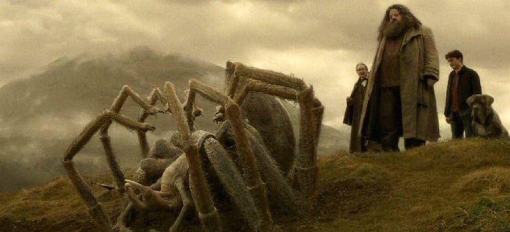 dok. Warner Bros/Harry Potter