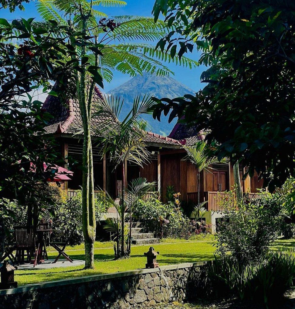 5 Rekomendasi Homestay Joglo di Wonosobo View Gunung Sindoro Jelas
