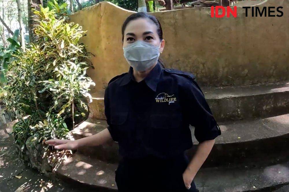 Ketua DPD PUTRI NTB Fellicia Suadika. (IDN Times/Athif)