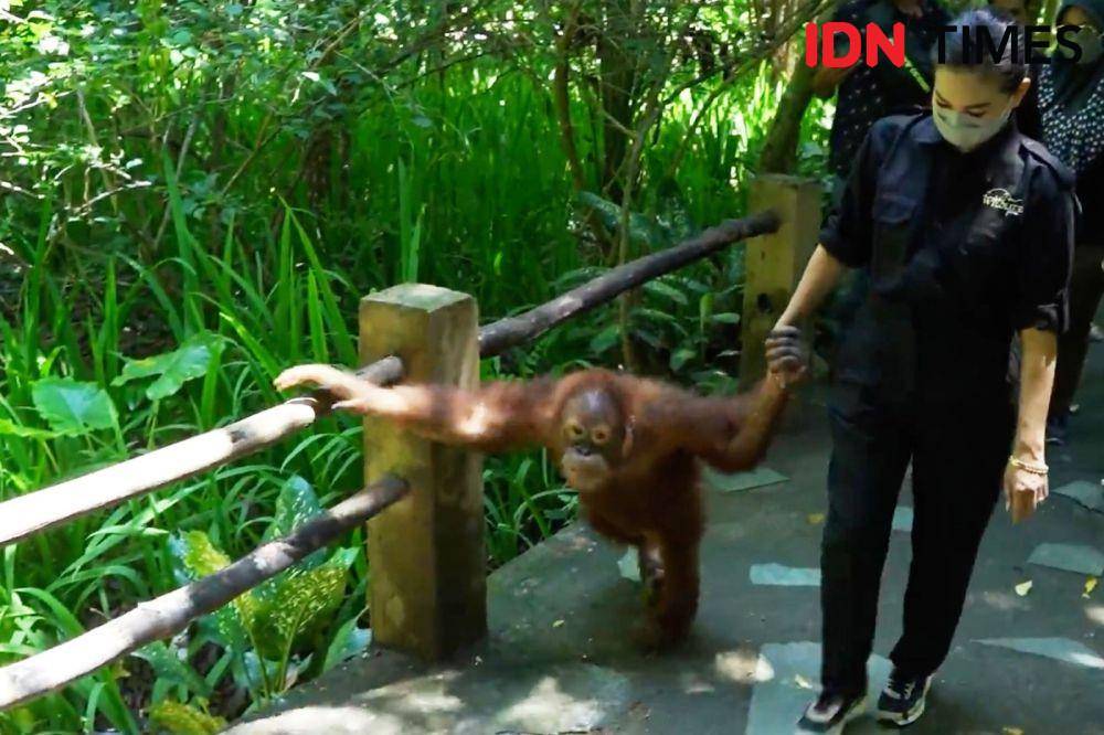 Taman Wisata Lombok Wildlife Park di Kabupaten Lombok Utara. (IDN Times/Athif)