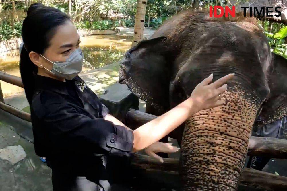 Taman Wisata Lombok Wildlife Park di Kabupaten Lombok Utara. (IDN Times/Athif)
