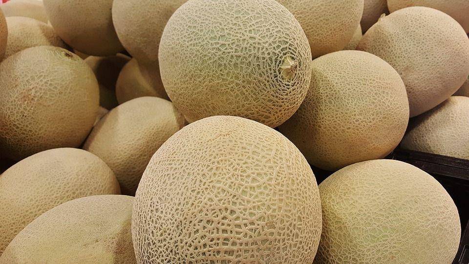 Ilustrasi melon manis dan matang (pixabay.com/brett_hondow)