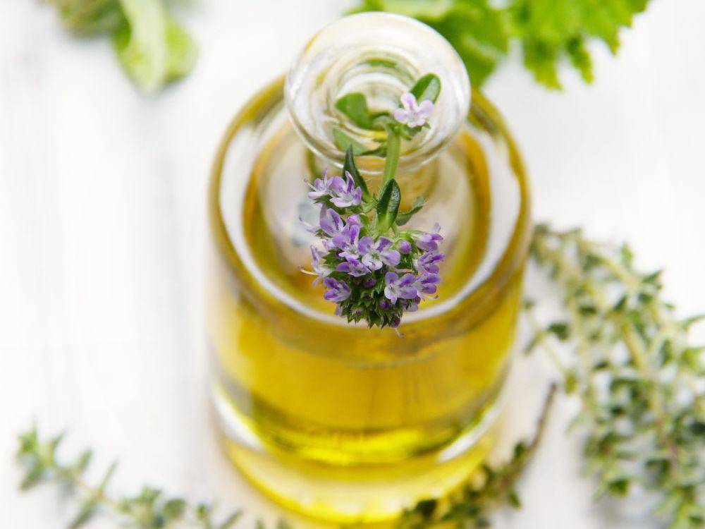 minyak atsiri tanaman thyme (pixabay.com/silviarita)