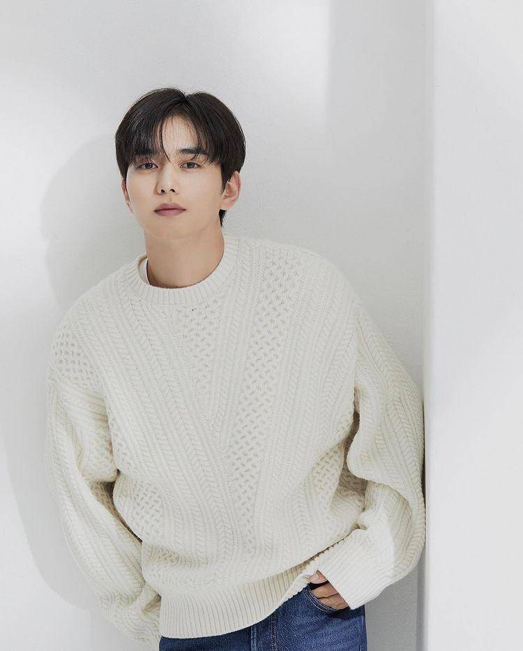 potret Yoo Seung Ho (instagram.com/dandyoo93_official)