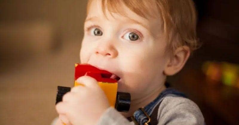 Oral Sensory Seeking, Perilaku Anak Suka Mengunyah Benda Sembarangan