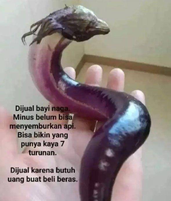 jual barang di Facebook (twitter.com/fbreceh)