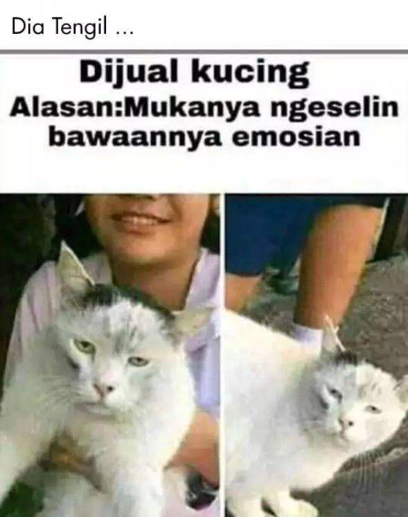 jual barang di Facebook (twitter.com/fbreceh)