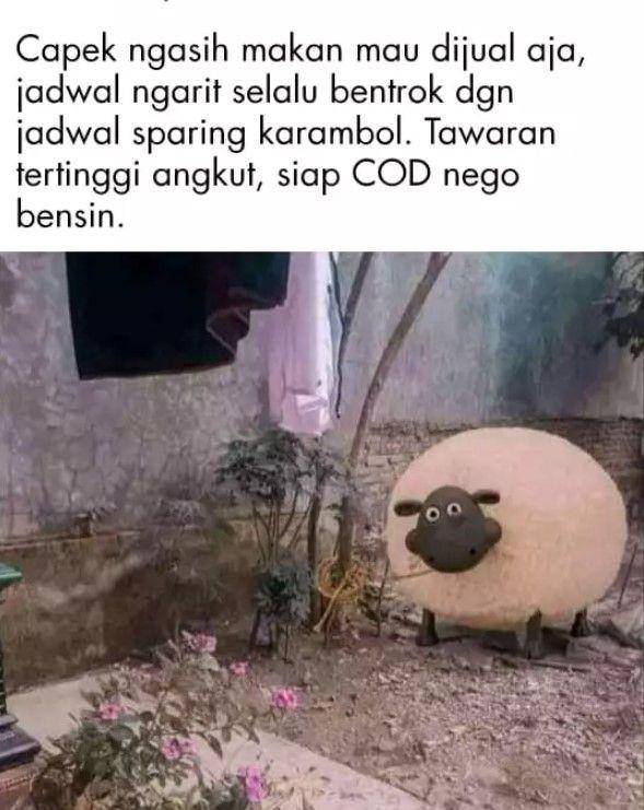 jual barang di Facebook (twitter.com/fbreceh)