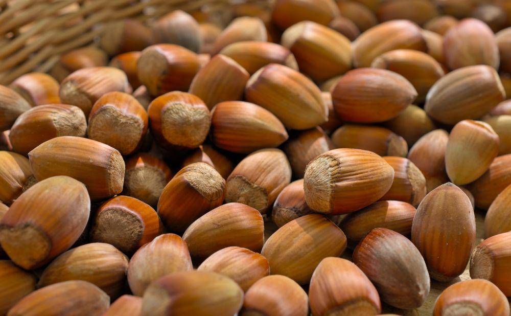 kacang hazelnut (pixabay.com/Peggychoucair)