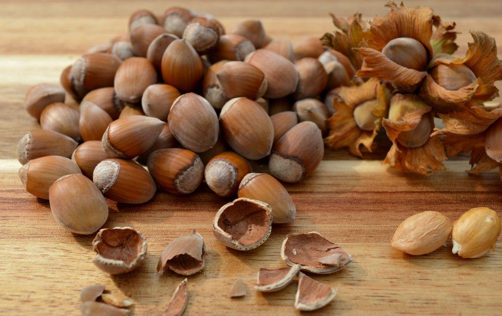 Fakta Menarik Kacang Hazelnut, Kacang Kesukaan Siapa Nih?