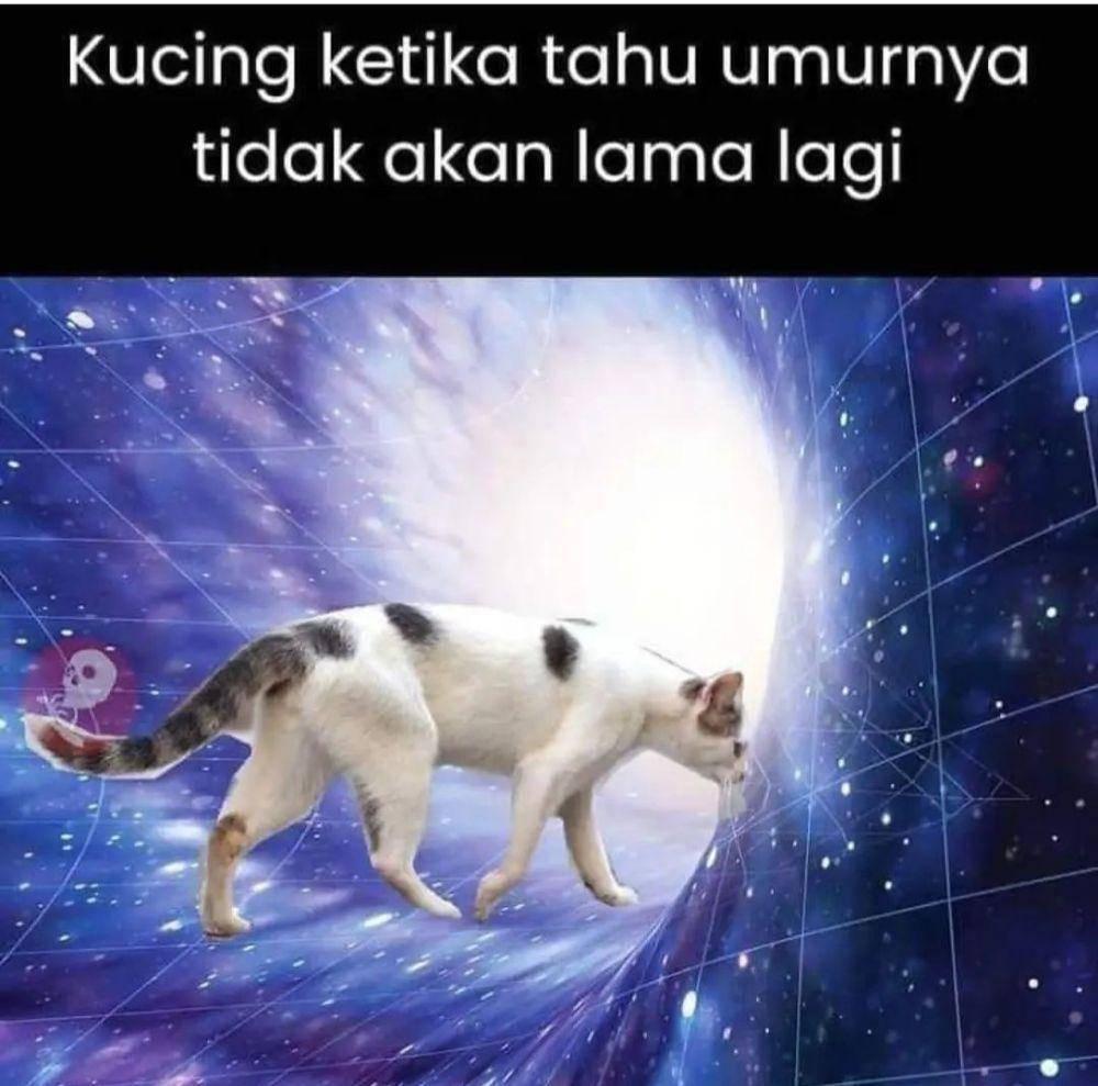 meme adios (instagram.com/lesmantaxd)