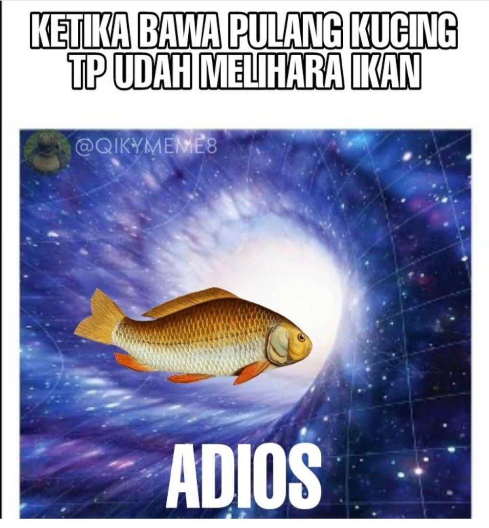 meme adios (instagram.com/qikymeme8)