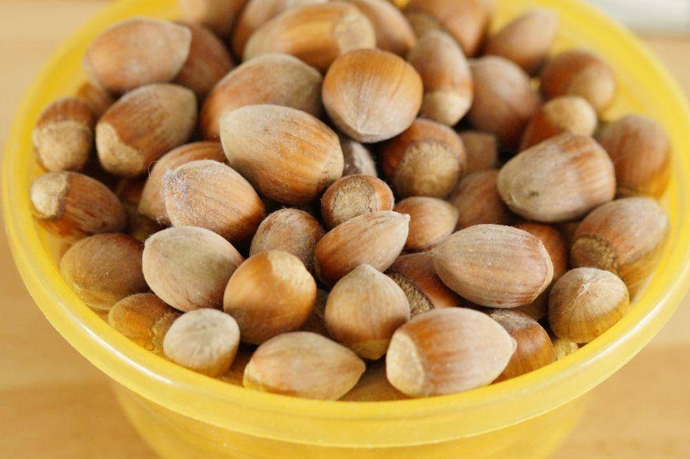 kacang hazelnut (pixabay.com/Efraimstochter)