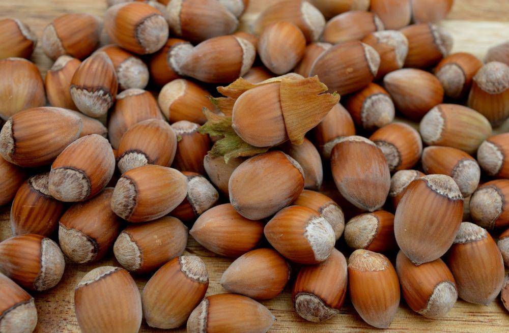 kacang hazelnut (pixabay.com/neelam279)